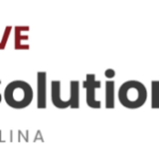 Alternative Living Solutions of North Carolina logo