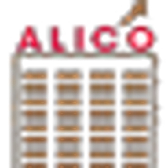 American Amicable Life Insurance Company of Texas logo
