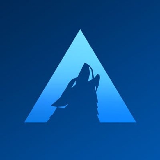 Arctic Wolf Networks Germany logo