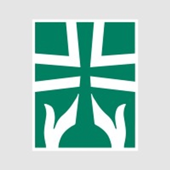 Avera logo