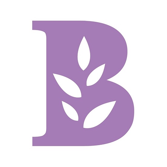 Bachmans logo