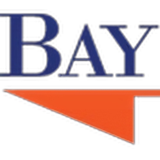 BayBiz logo