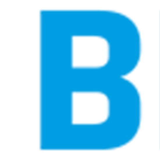 beumergroup1 logo