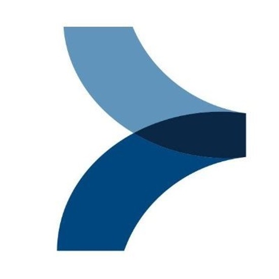 BGIS logo