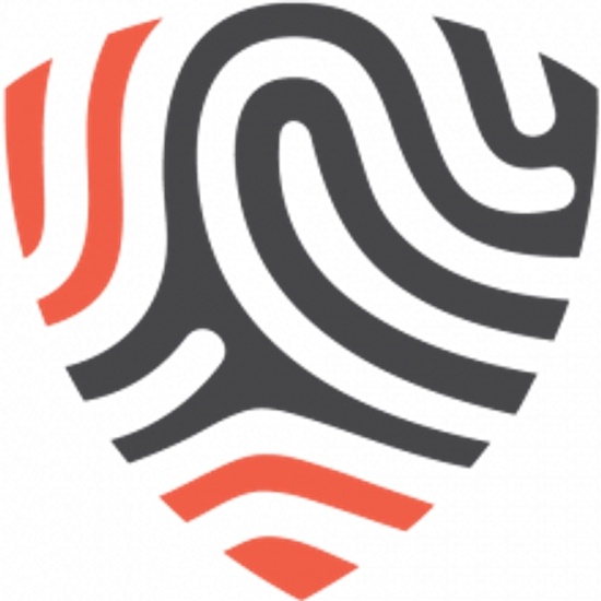 BigID logo