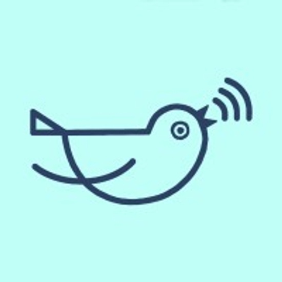 Birdie logo