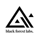 blackforestlabs logo