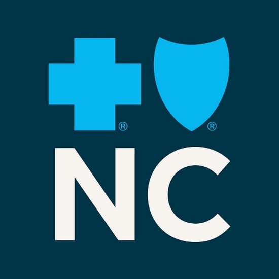BlueLink logo