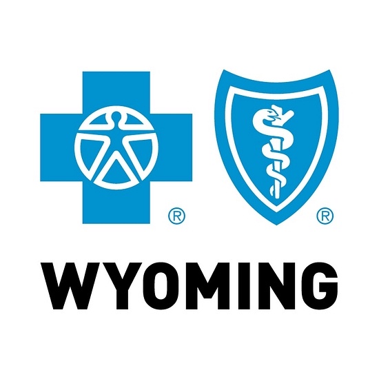 Blue Cross Blue Shield logo