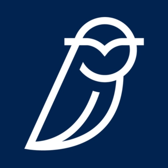 Blue Owl Capital Holdings logo