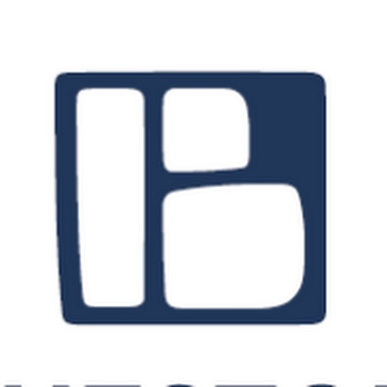 Bluestone Real Estate Services logo