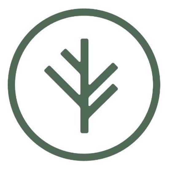 Branch Insurance logo