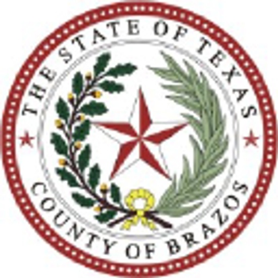 Brazos County logo