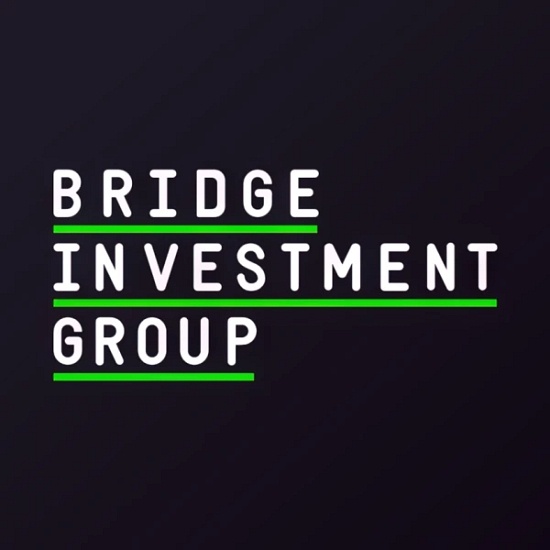 Bridgeigp logo