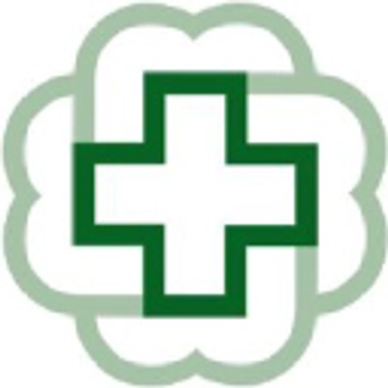 Bronson LakeView Hospital logo