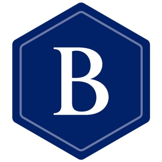 Brunswick Group logo