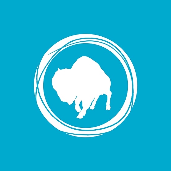 Buffalo Grove Park District logo