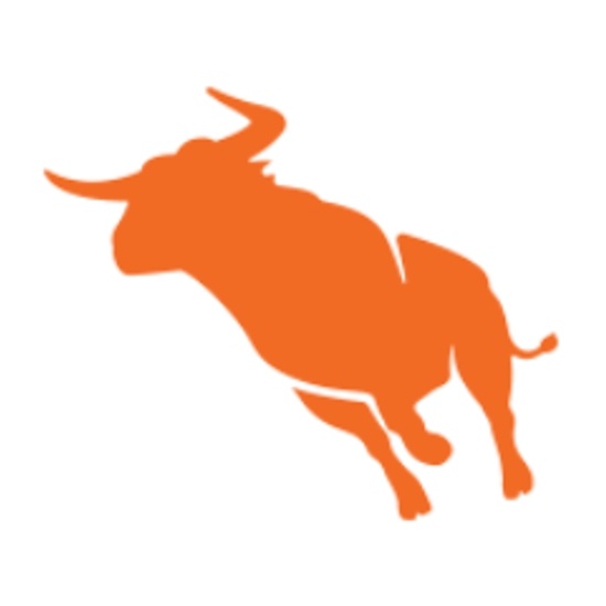 Bullhorn International logo