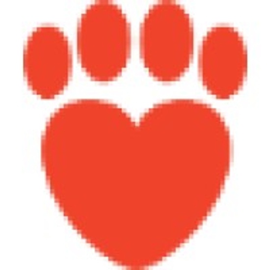 Calusa Vet logo