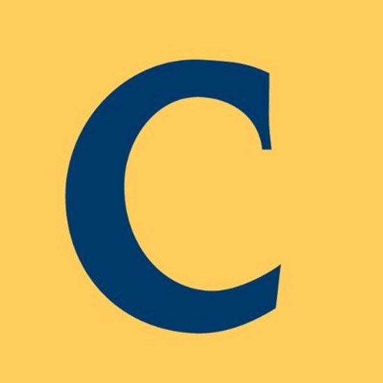 Cambridge International Systems logo