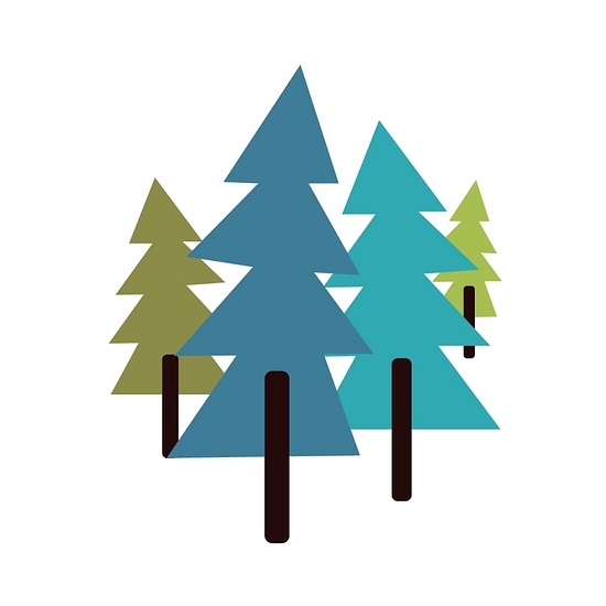 CampCuriosity logo