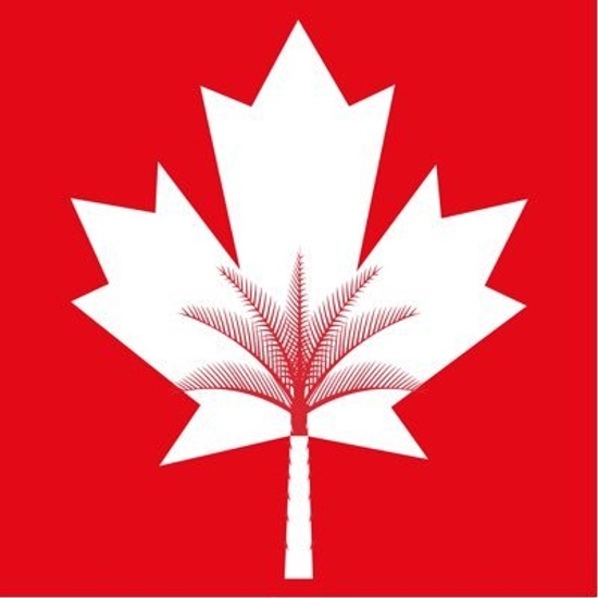 Canadian University Dubai logo