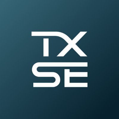 Texas Stock Exchange logo