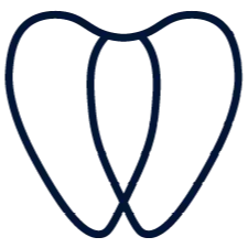 Dental Studio of Palm Harbor logo