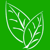 LIFE Senior Services logo
