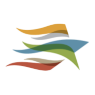Communities Foundation of Texas logo