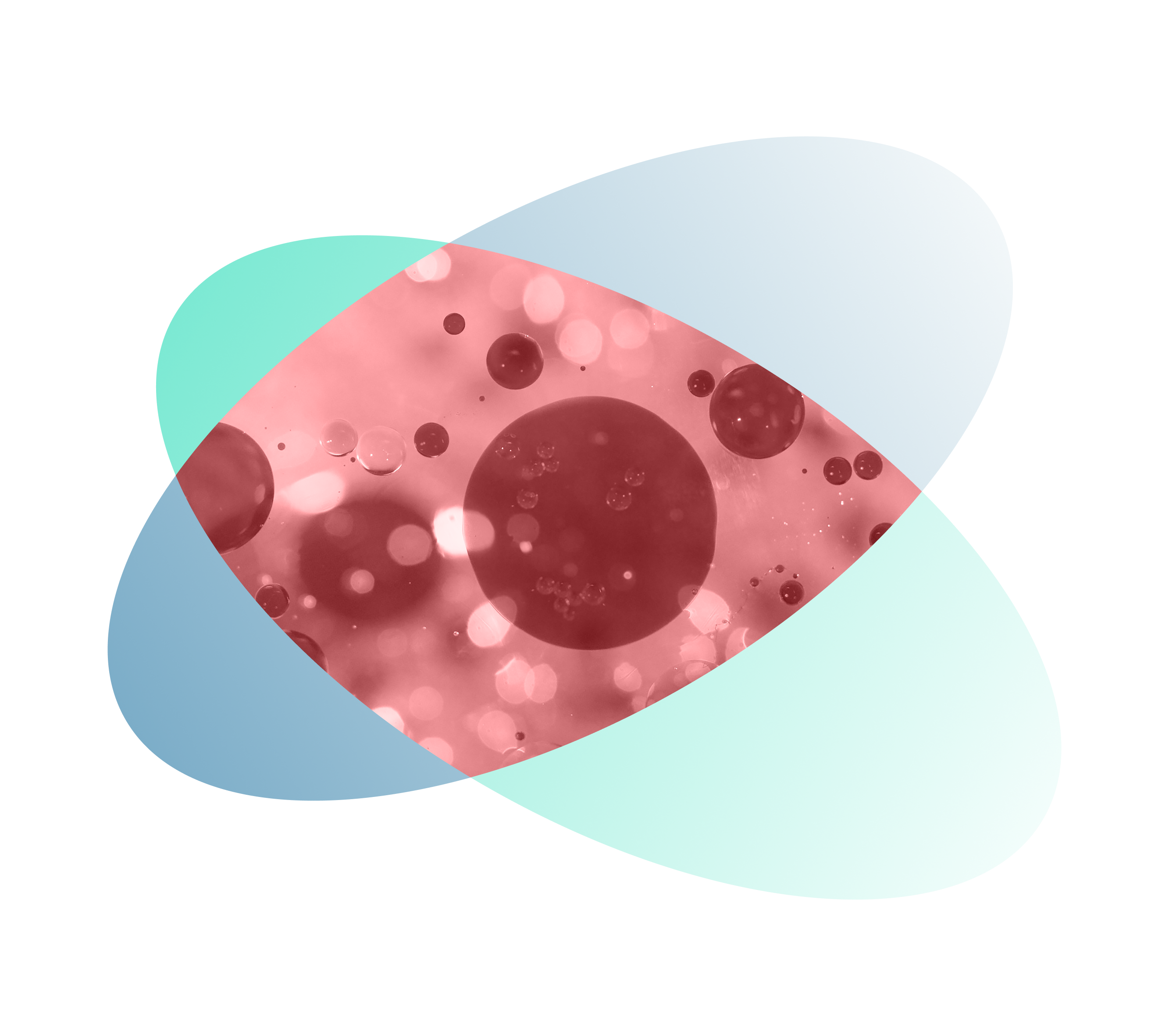 Disc Medicine logo