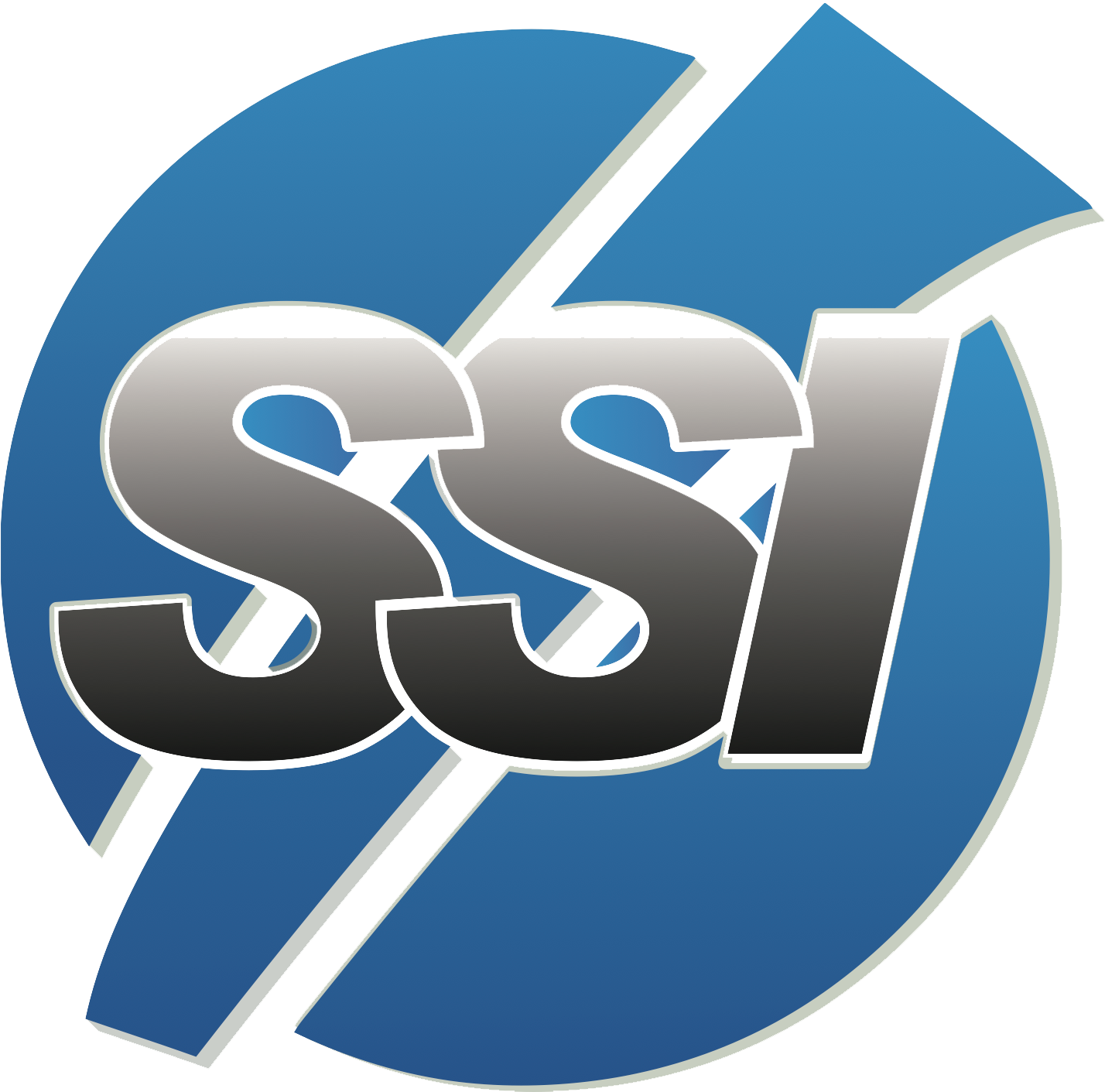 Storage Strategies logo
