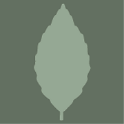 Beechwood Tavern logo