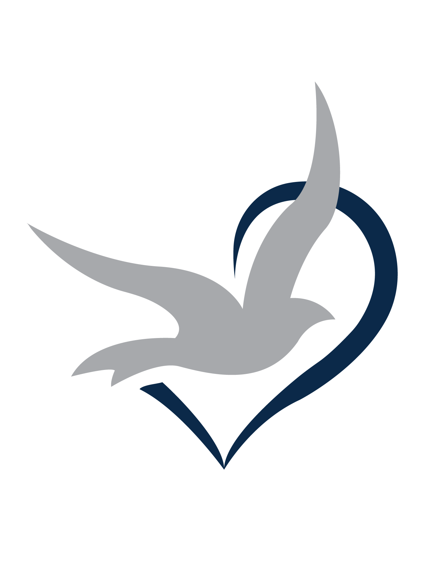 Elevate Care logo