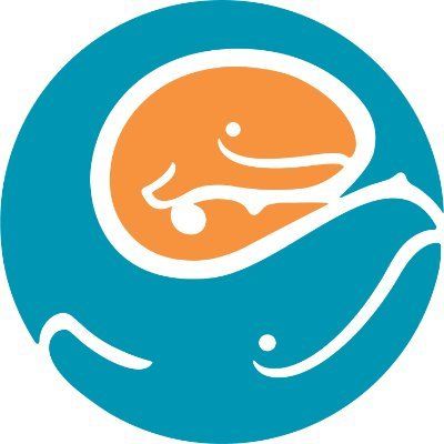 Seattle Children's logo
