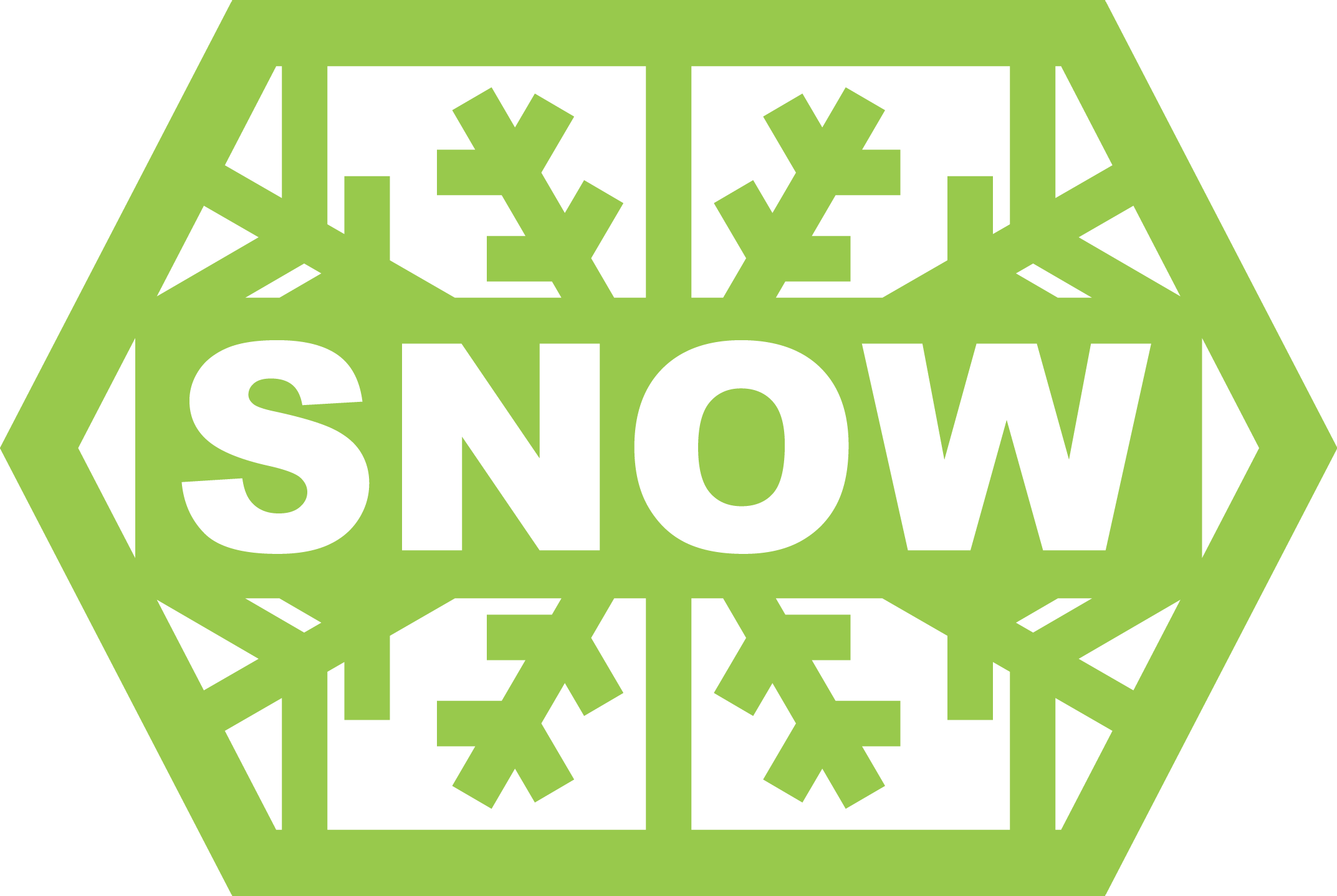 Snow & Company logo