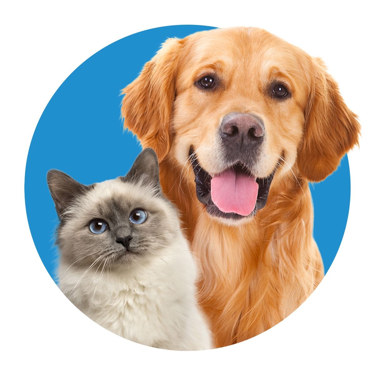 Innovetive Petcare logo