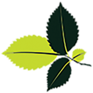 Progressive Care Physical Therapy logo