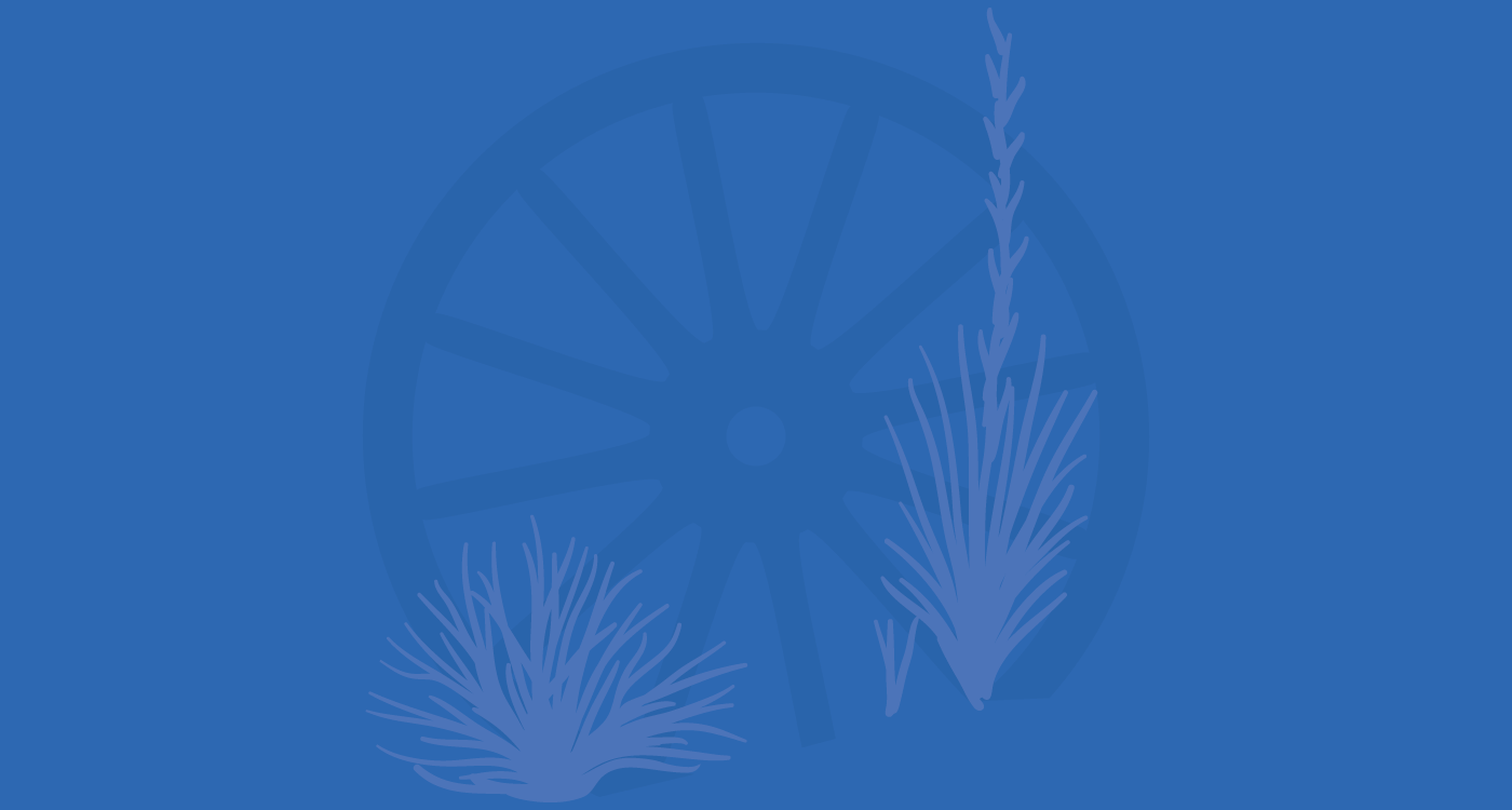 Niobrara Community Hospital logo
