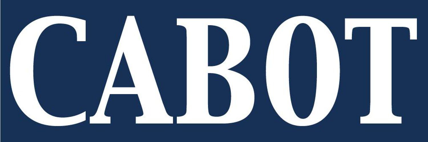 Cabot Risk Strategies logo