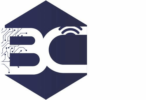 Brilliant Computers Citadel and Information Technology logo