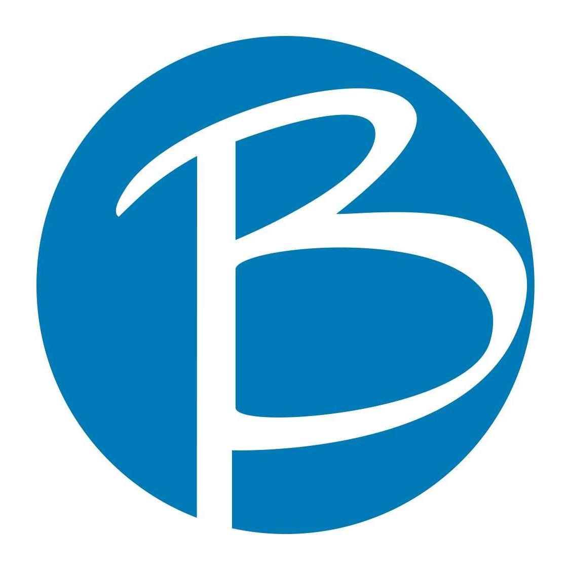 The Bulow Group logo