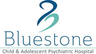 Bluestone logo
