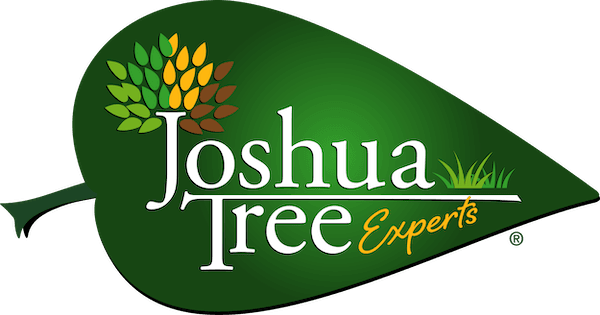 Joshua Tree Experts logo