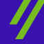 Rayn Group logo