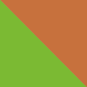 The Village at Gainesville logo