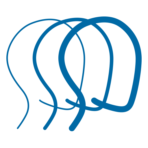 Brain Injury Association of Colorado logo
