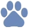 USVTA logo