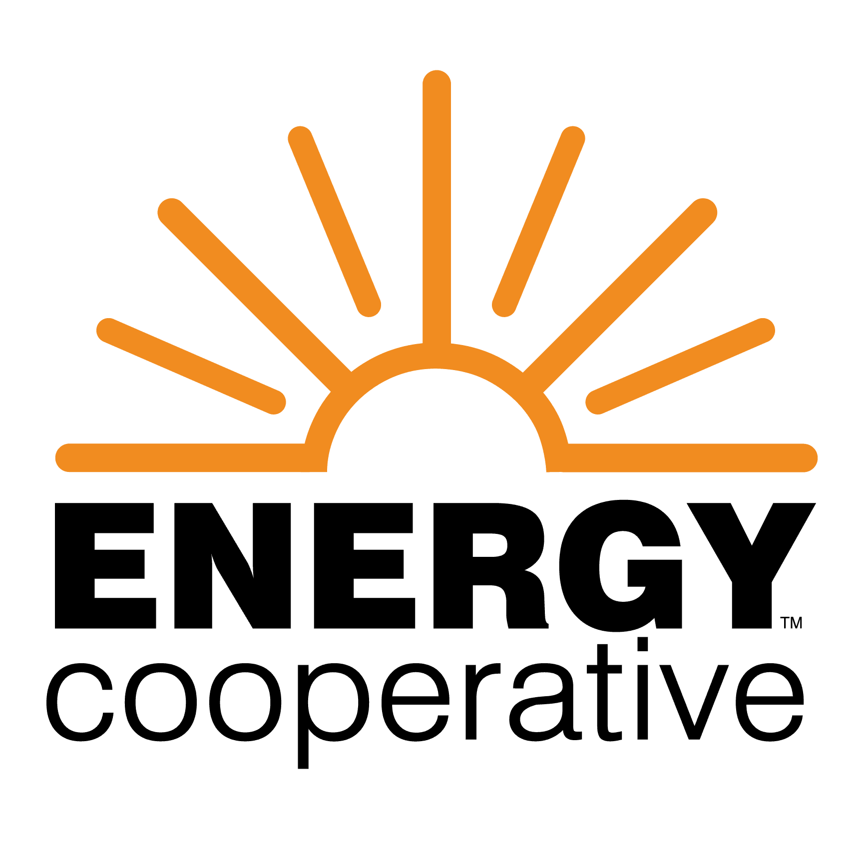 The Energy Cooperative logo