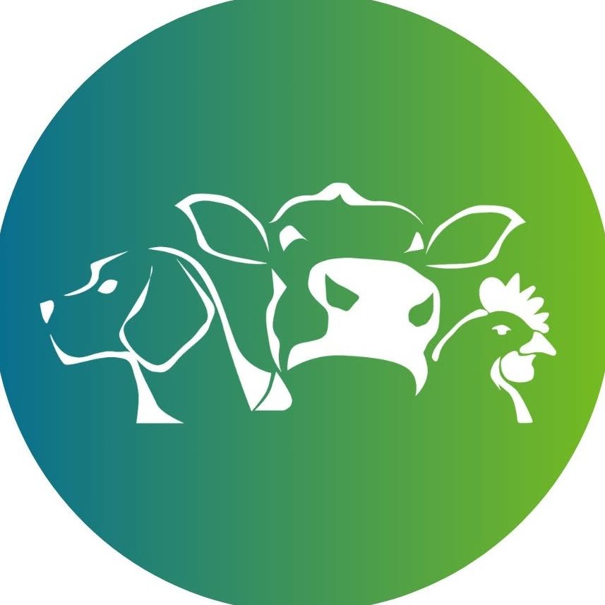 Pasado's Safe Haven logo